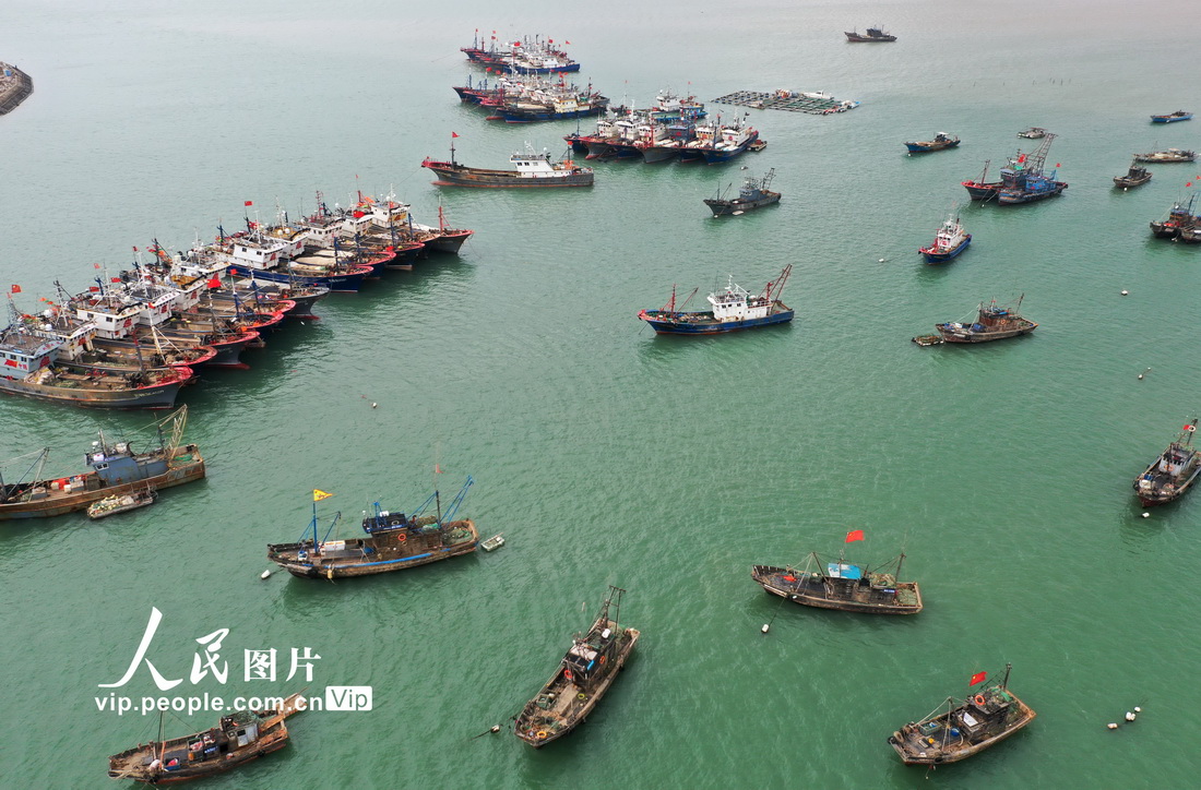 2021年11月7日，在連雲港市連雲區連島漁港內，大批捕撈漁船停泊在港灣避風。