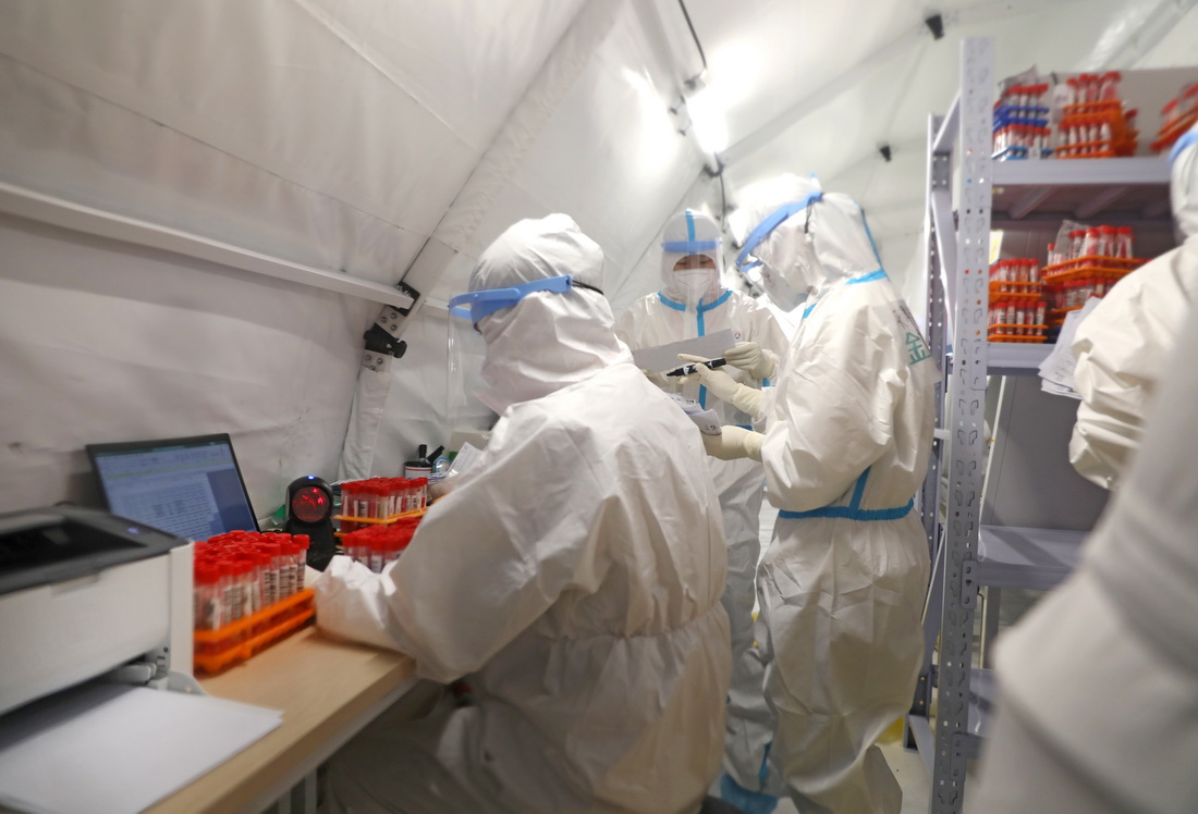 11月15日，大连方舱核酸检测实验室工作人员在样品处理区工作。