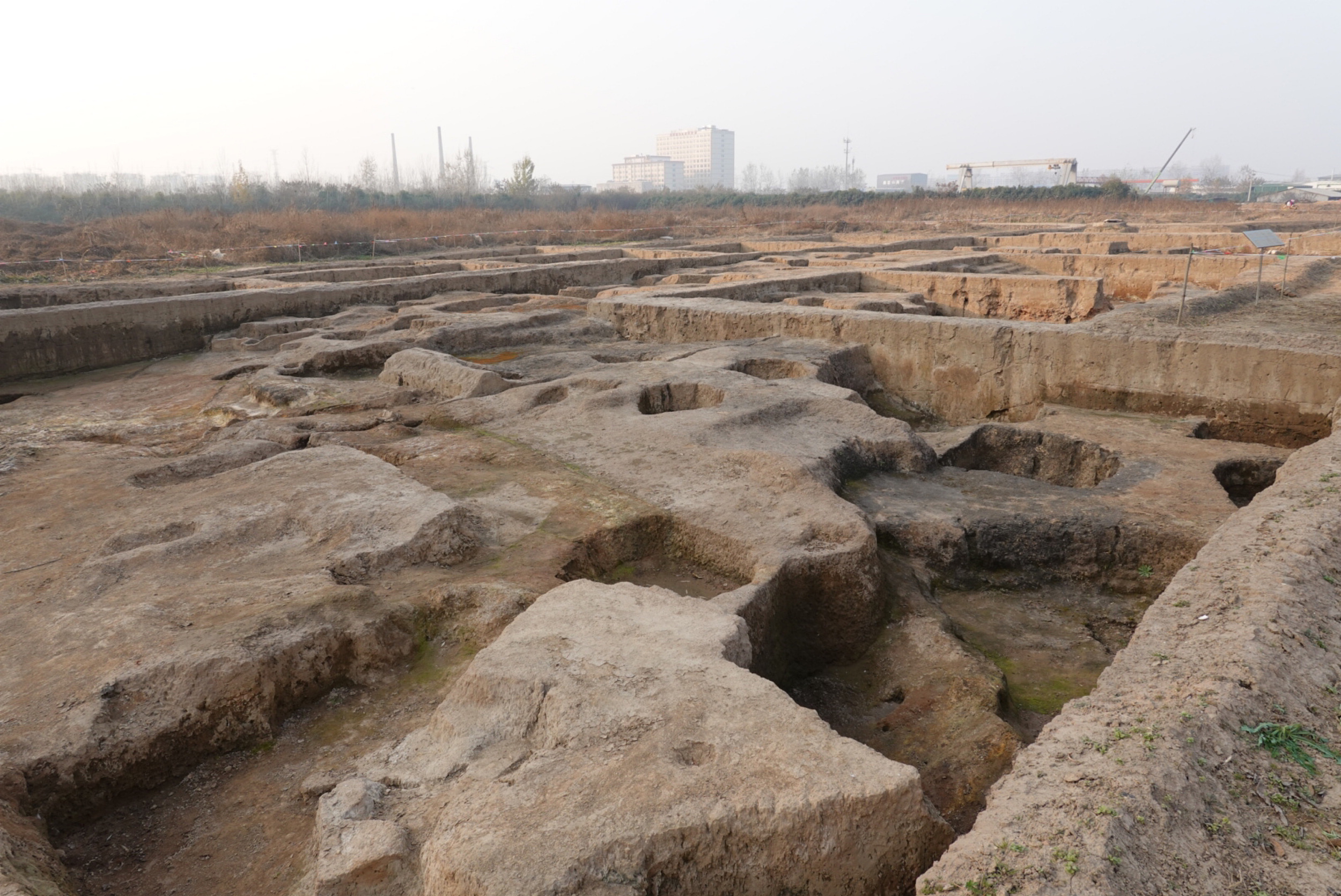 2021年11月18日，正在发掘的西安镐京遗址。