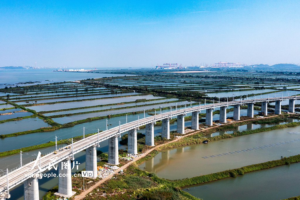 廣州：南沙港鐵路施工建設進入最后沖刺階段【3】
