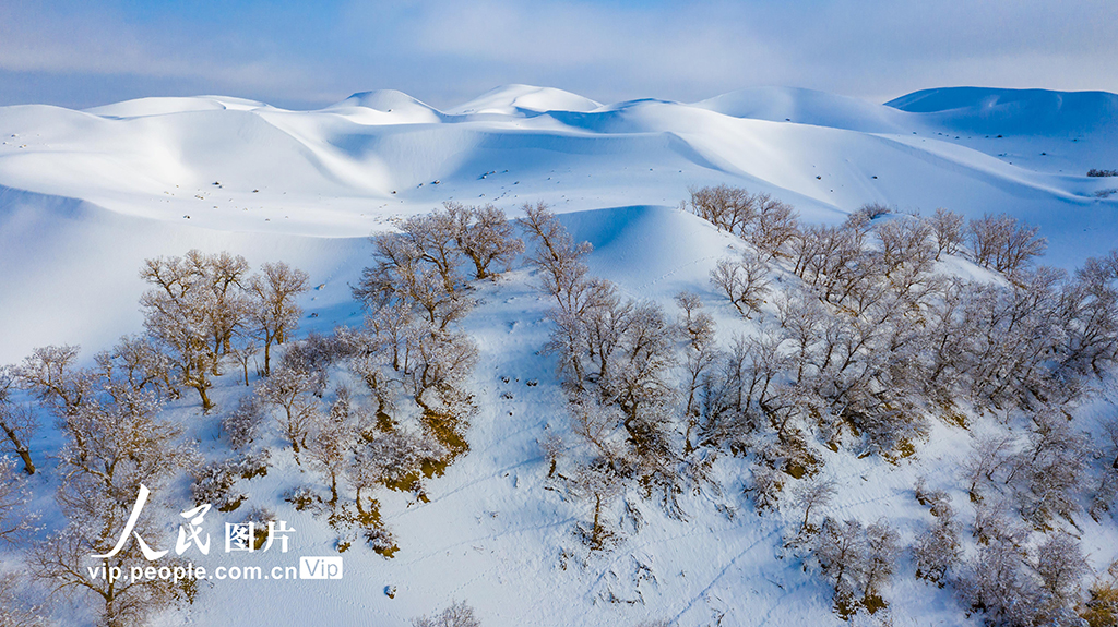 新疆塔克拉瑪干沙漠迎來罕見強降雪【12】