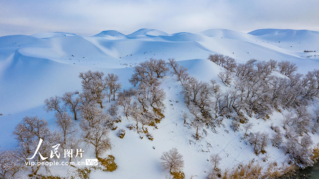 新疆塔克拉瑪干沙漠迎來罕見強降雪【2】