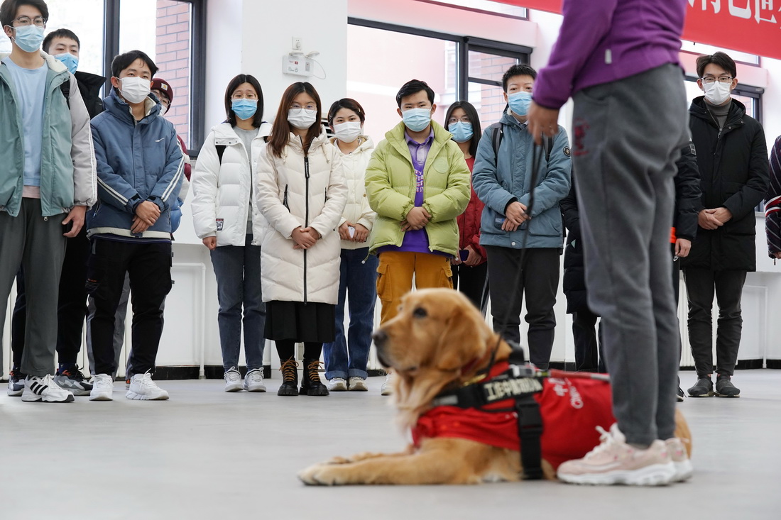 12月1日，在北京邮电大学，参加培训的志愿者在听培训老师讲解如何为携带导盲犬的残障人士服务。