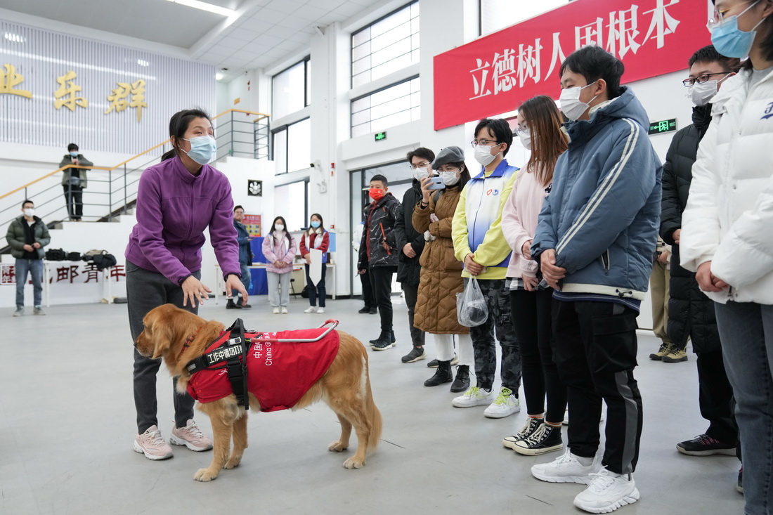 12月1日，在北京邮电大学，来自通州区第二医院中医科的张冉（前左）带着自己的导盲犬沙果为参加培训的志愿者介绍导盲犬的工作方式，让志愿者了解如何为携带导盲犬的残障人士服务。
