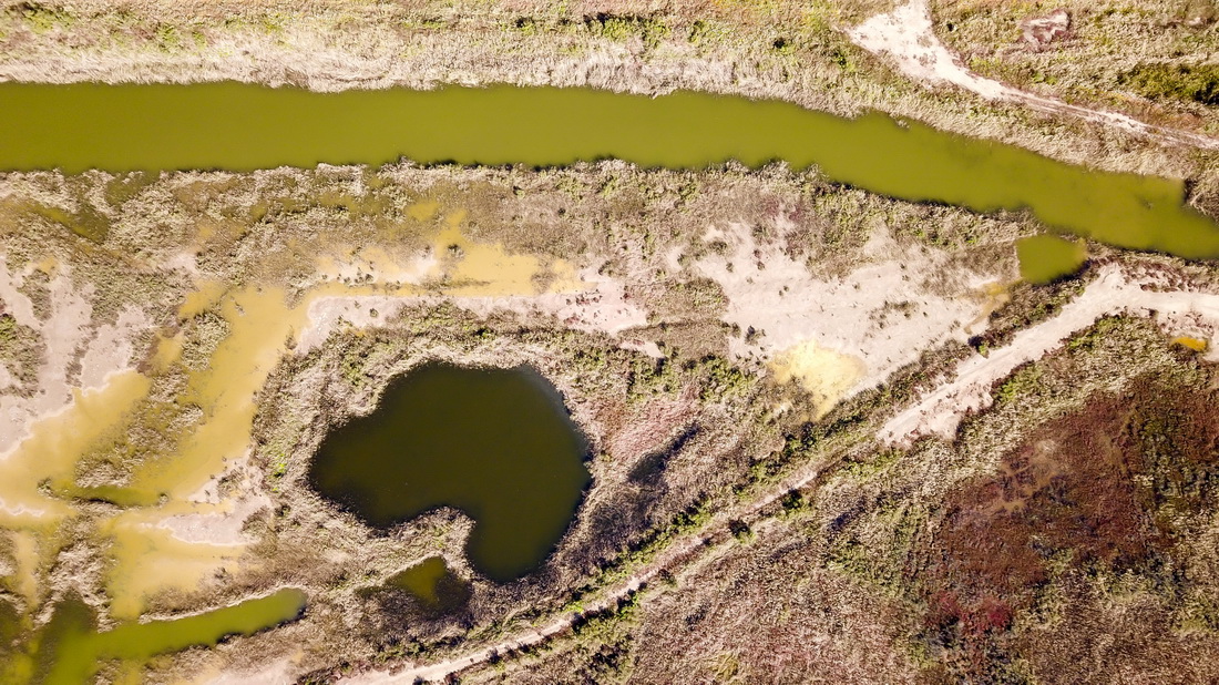 这是山东黄河三角洲国家级自然保护区风貌（10月27日摄，无人机照片）。