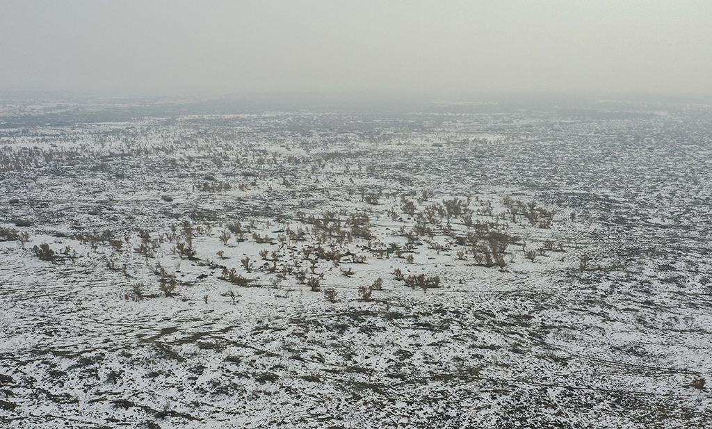 俯瞰甘家湖林區（12月4日攝，無人機照片）。新華社記者 趙戈 攝