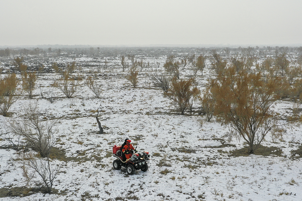 乌苏市甘家湖林场的管护人员在巡逻中（12月4日摄，无人机照片）。新华社记者 赵戈 摄