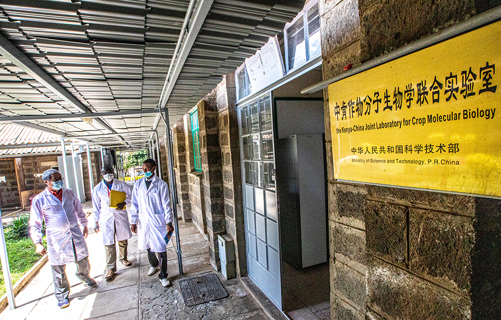 6月25日，在肯尼亚纳库鲁郡的埃格顿大学孔子学院，来自中国的农学教授刘高琼（左一）和肯方工作人员及研究生准备进入实验室。