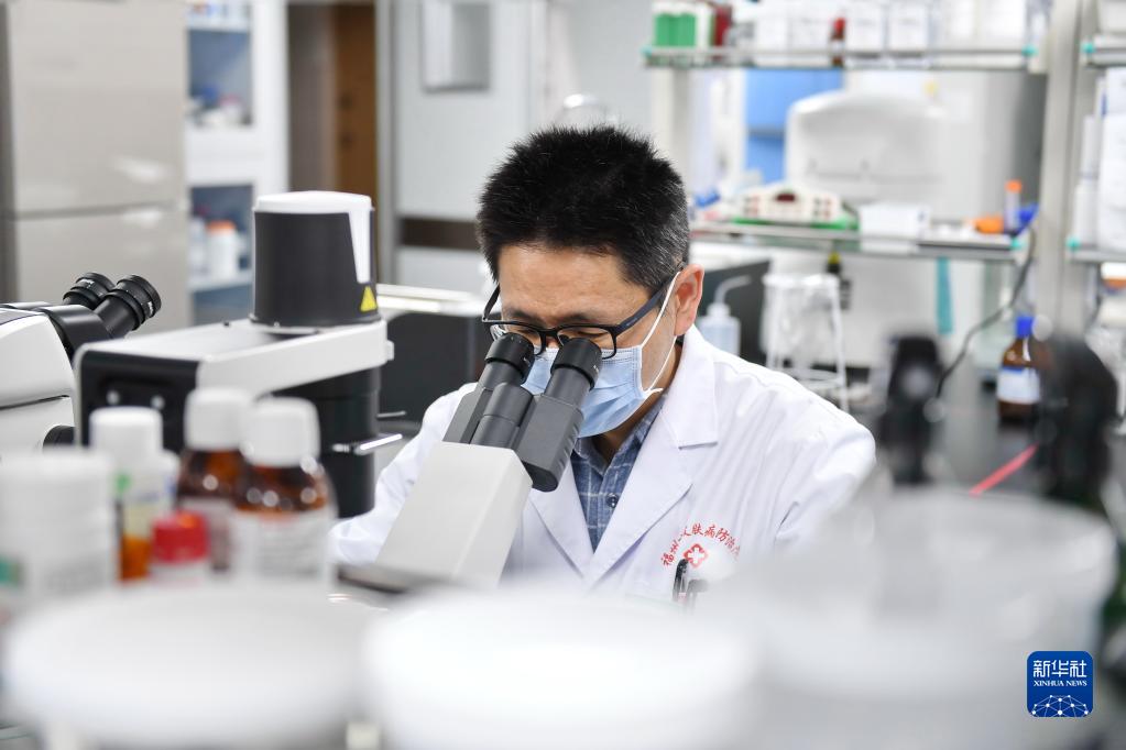 12月8日，陳柏叡在福州市皮膚病防治院實驗室開展研究。