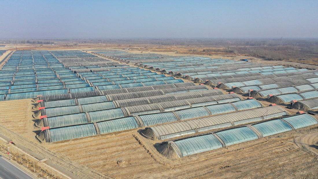 这是12月12日拍摄的新疆莎车县戈壁产业园一角（无人机照片）。