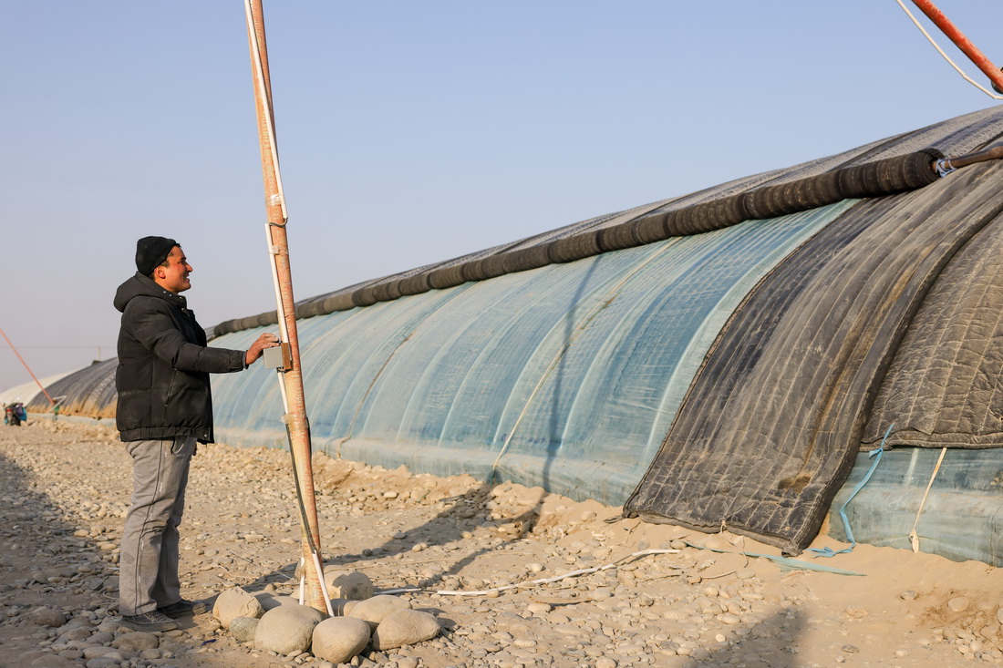 在新疆莎車縣戈壁產業園，農戶操作大棚自動卷帘機（12月12日攝）。