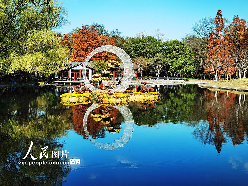 上海：共青森林公园“枫”景如画