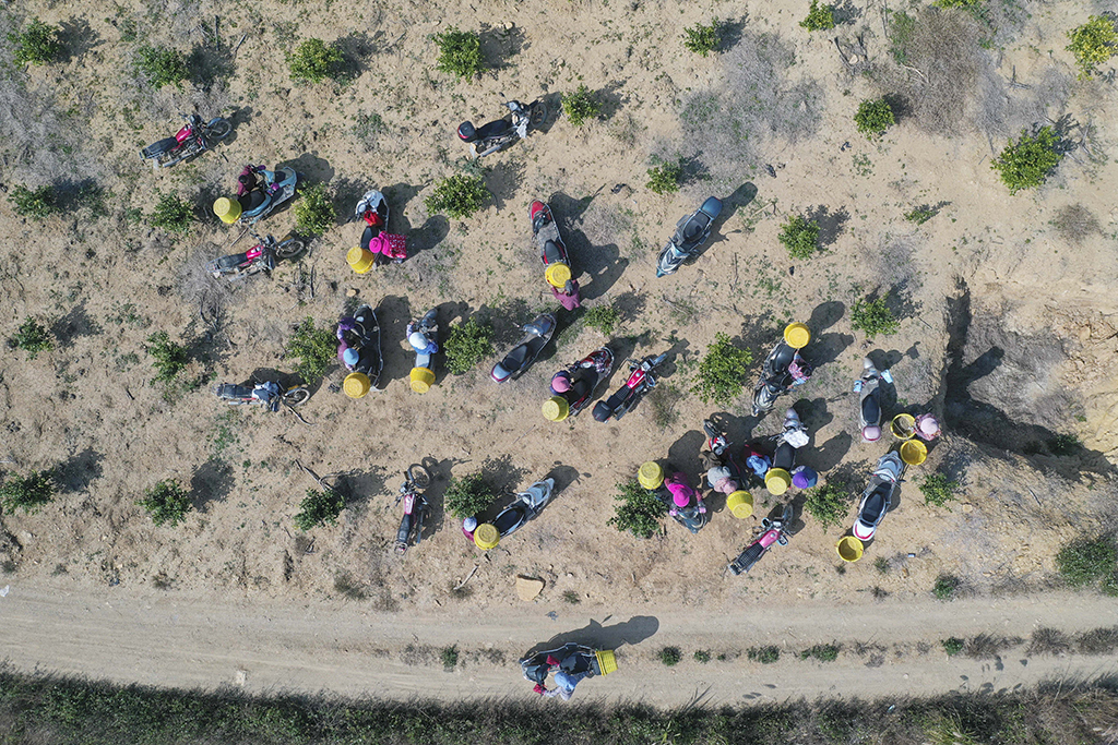 在鹿寨县四排镇泗湖村，妇女们准备骑车前往下一个果园采收柑橘（12月17日摄）。