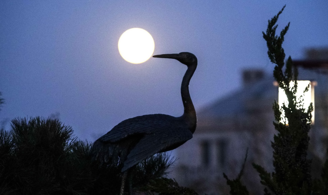12月19日在山东省烟台市蓬莱区海市公园拍摄的满月。新华社发（于良意 摄）