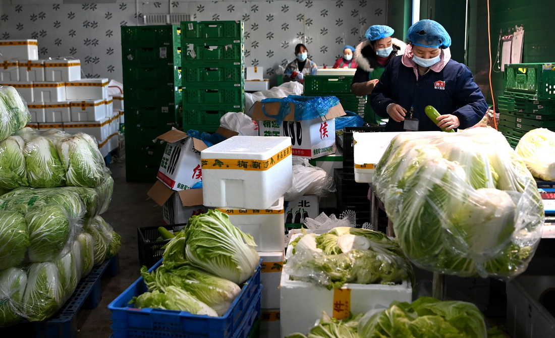 陝西米禾供應鏈管理股份有限公司的工作人員在分揀蔬菜（12月19日攝）。