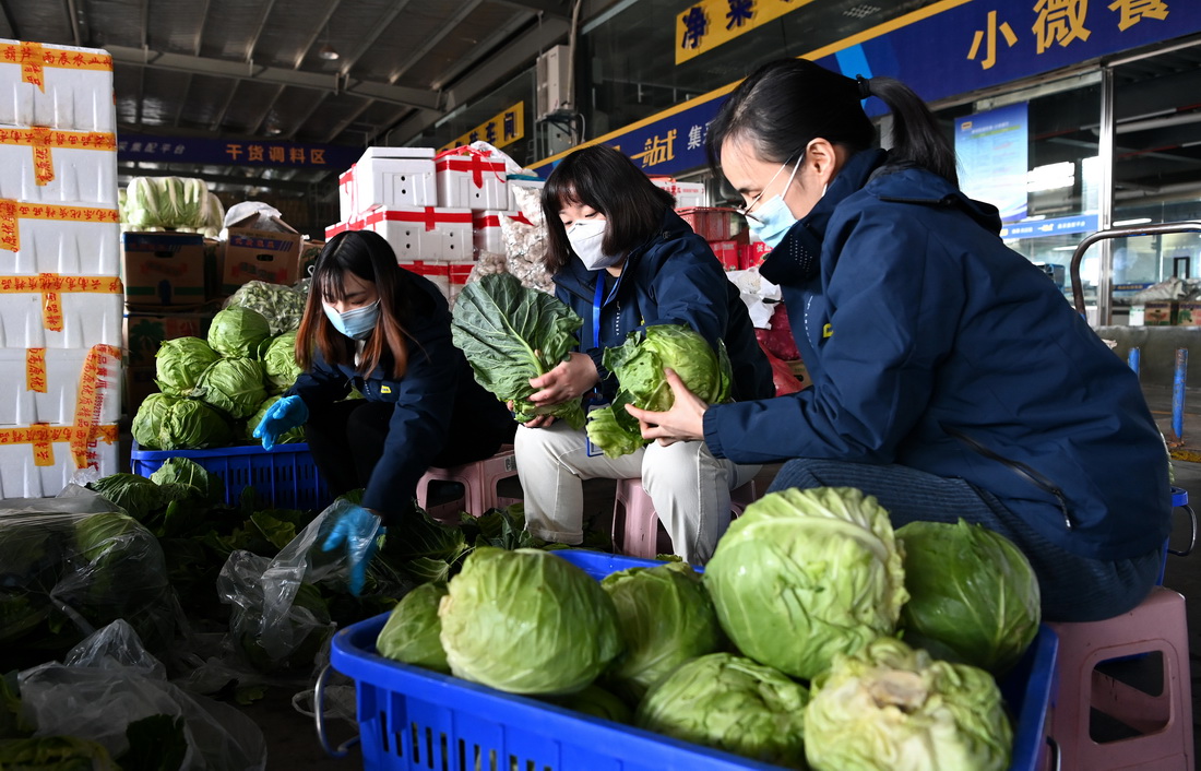 陝西米禾供應鏈管理股份有限公司的工作人員在分揀蔬菜（12月19日攝）。