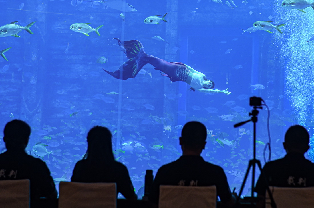 這是12月21日在海南三亞亞特蘭蒂斯拍攝的首屆中國美人魚表演賽現場。