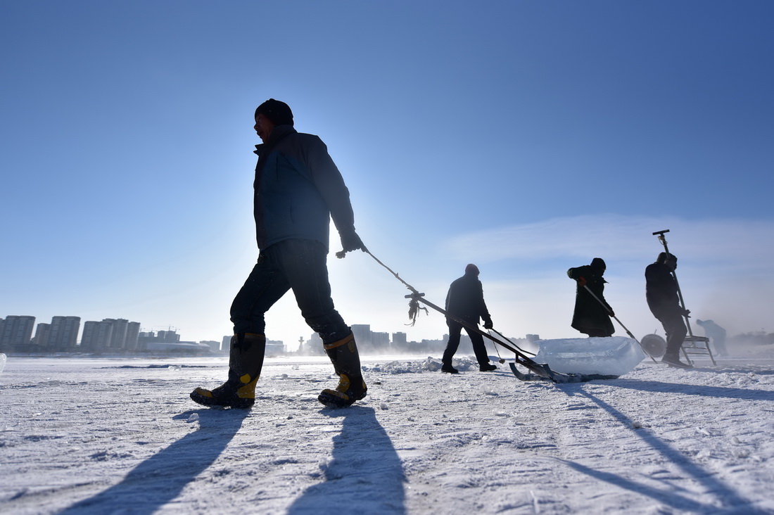 12月26日，在黑龍江省牡丹江市江濱碼頭附近，工人在冰面上運送冰塊。