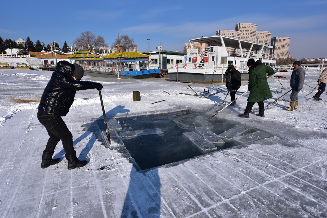 12月26日，在黑龍江省牡丹江市江濱碼頭附近，工人在採冰現場忙碌。