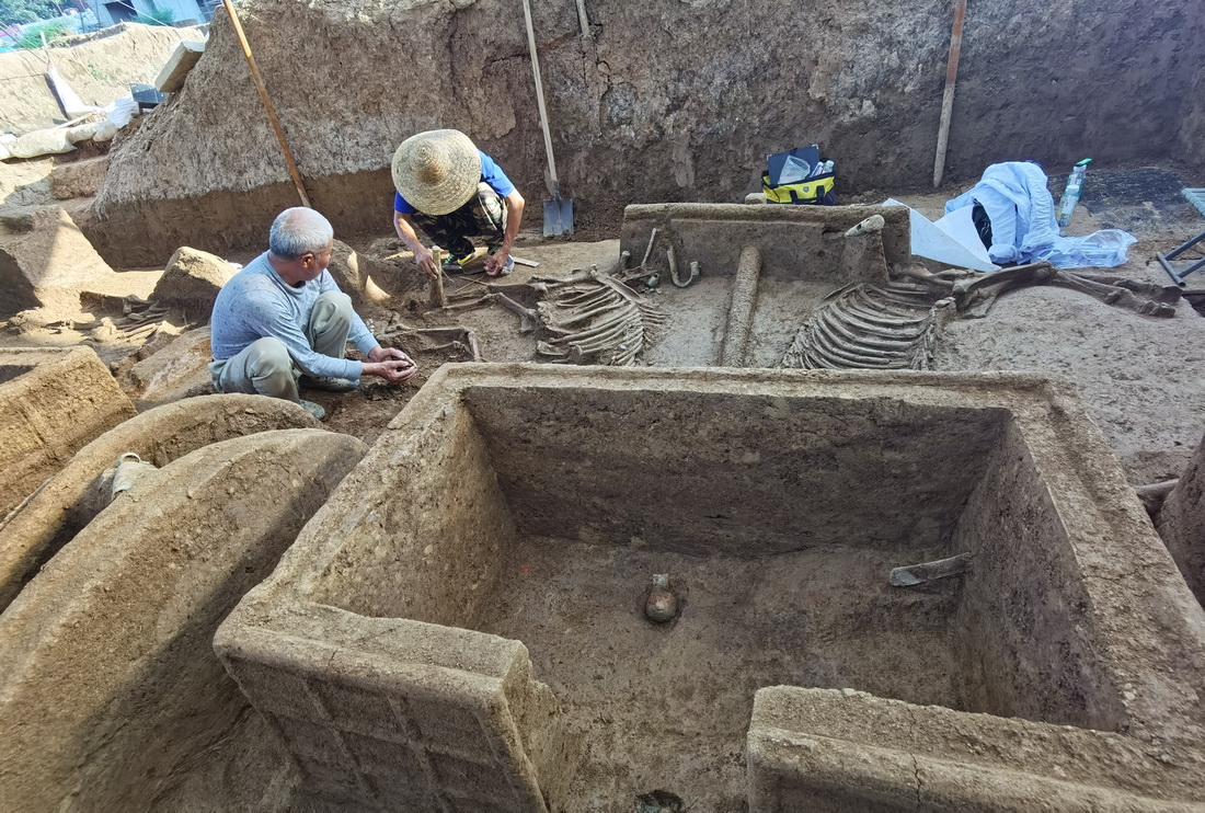 考古工作人员对邵家棚遗址的车马坑进行清理（资料照片）。新华社发（安阳市文物考古研究所供图）