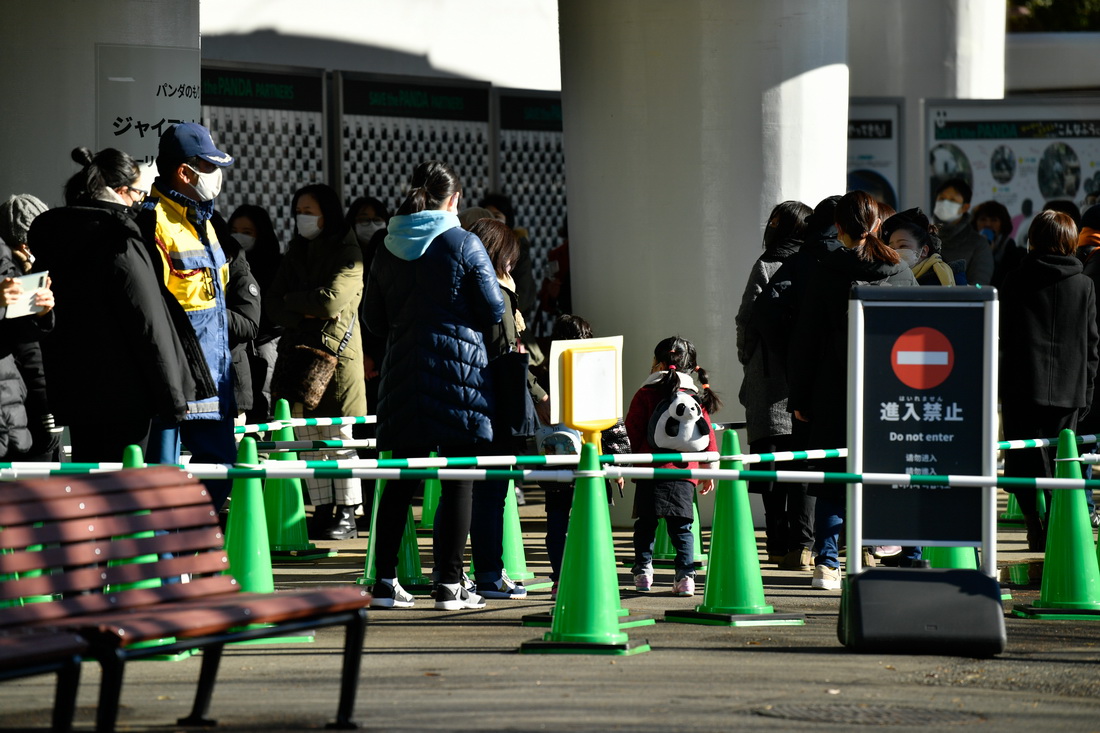 1月12日，游客排隊等待進入日本東京上野動物園參觀大熊貓。新華社記者 張笑宇 攝
