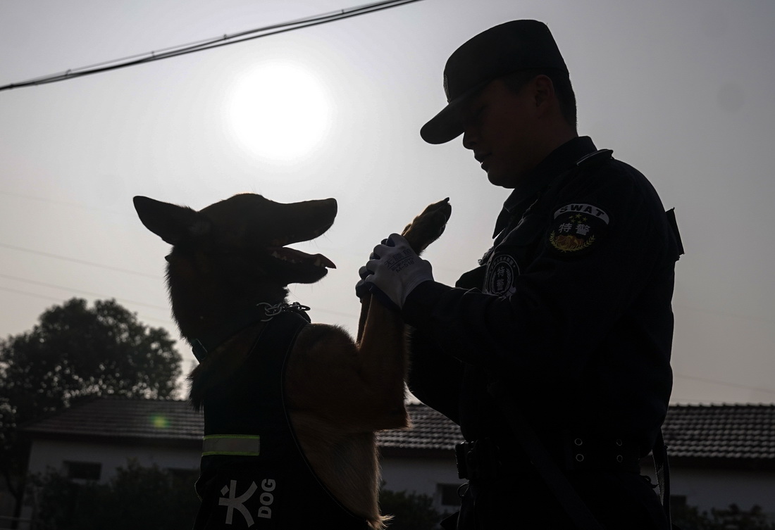 1月12日，訓導員張翼和警犬“毛毛”在訓練中。