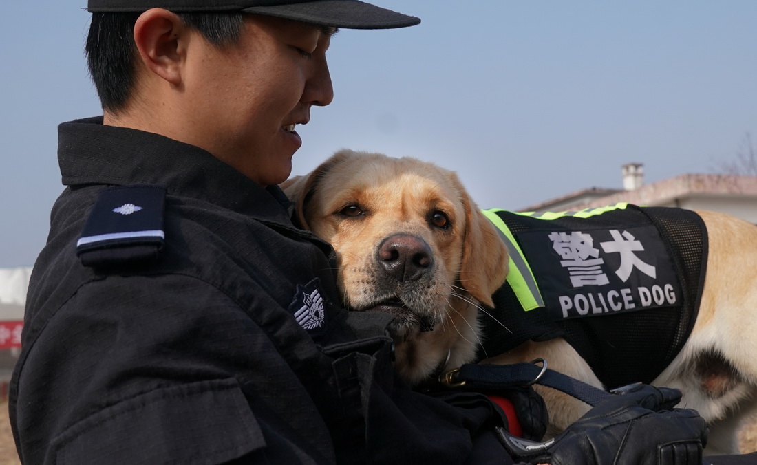 1月12日，訓導員丁岩和警犬“皮特”在訓練間隙休息。