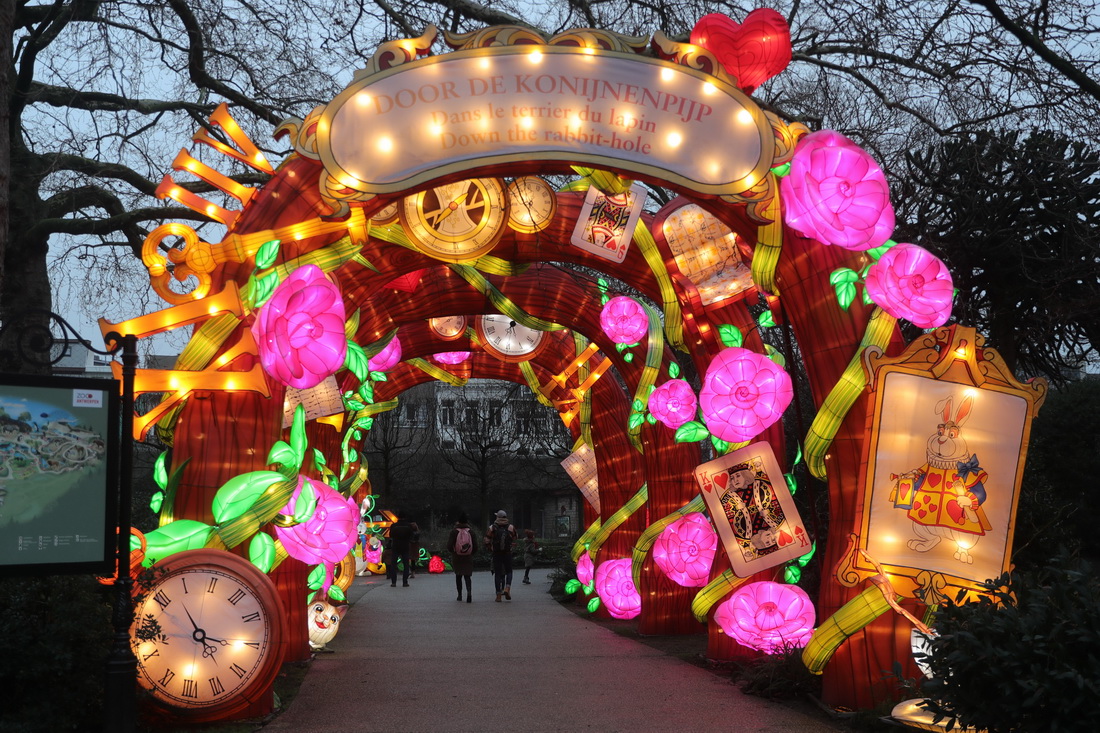 1月12日，游客在比利时安特卫普动物园参观第六届“中国花灯节”。