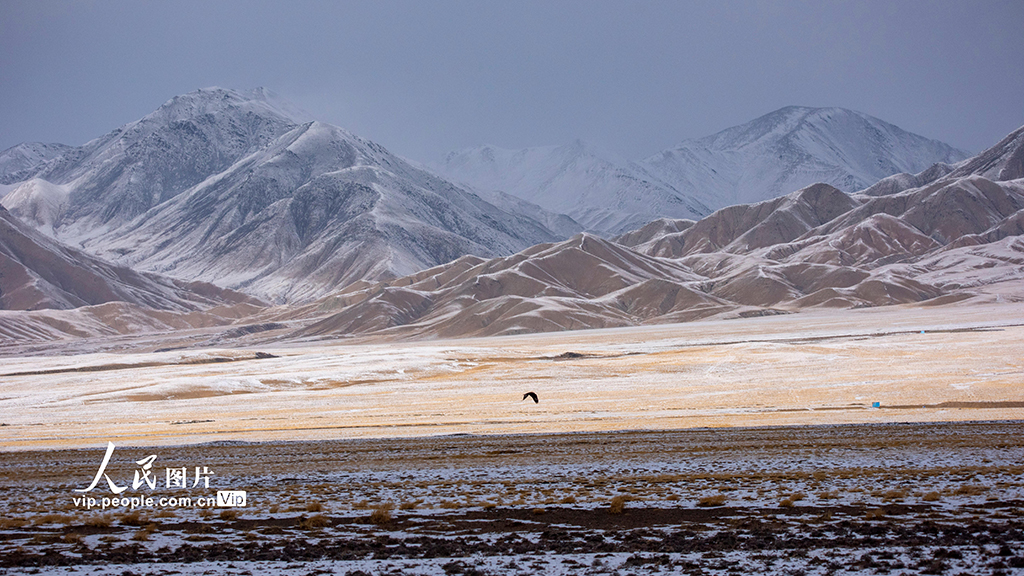 甘肅阿克塞：祁連山國家公園雪后景色美