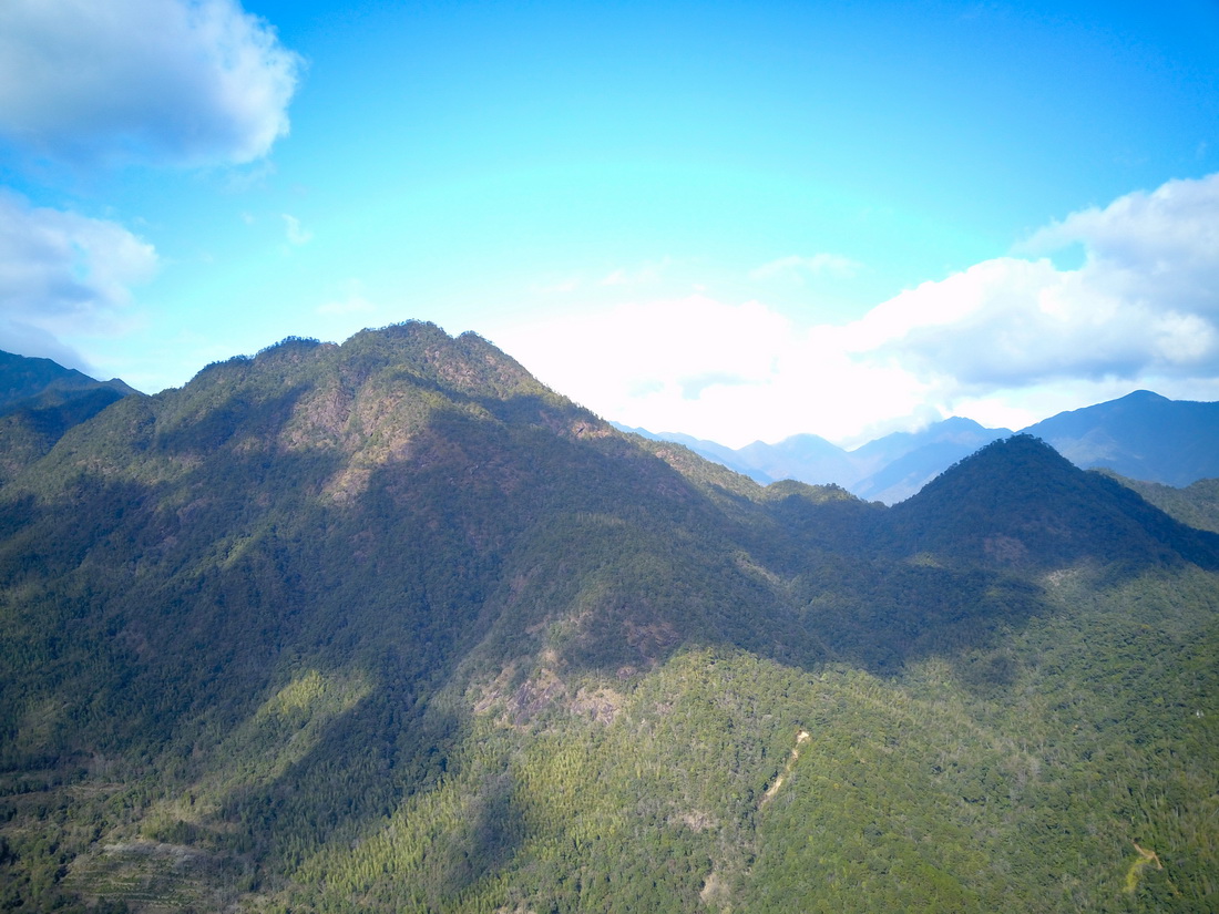 1月19日拍攝的武夷山國家公園（無人機照片）。新華社發（周義 攝）