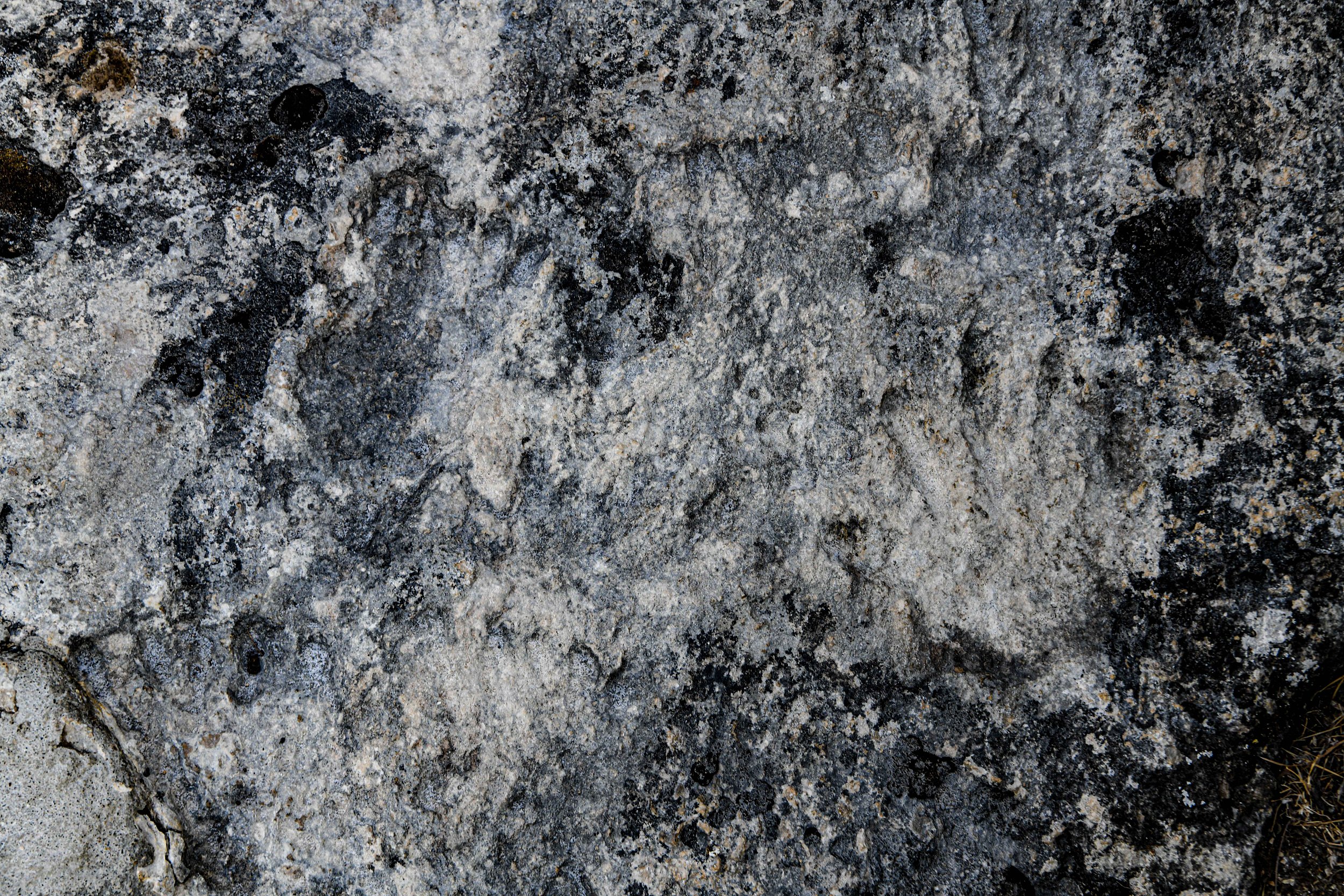 1月19日拍攝的西藏拉薩市堆龍德慶區德慶鄉邱桑村邱桑溫泉石灰岩上的“古人類手腳印”。 