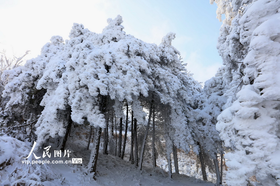 2022年1月28日，在甘肅省隴南市武都區米倉山拍攝的霧凇景觀。