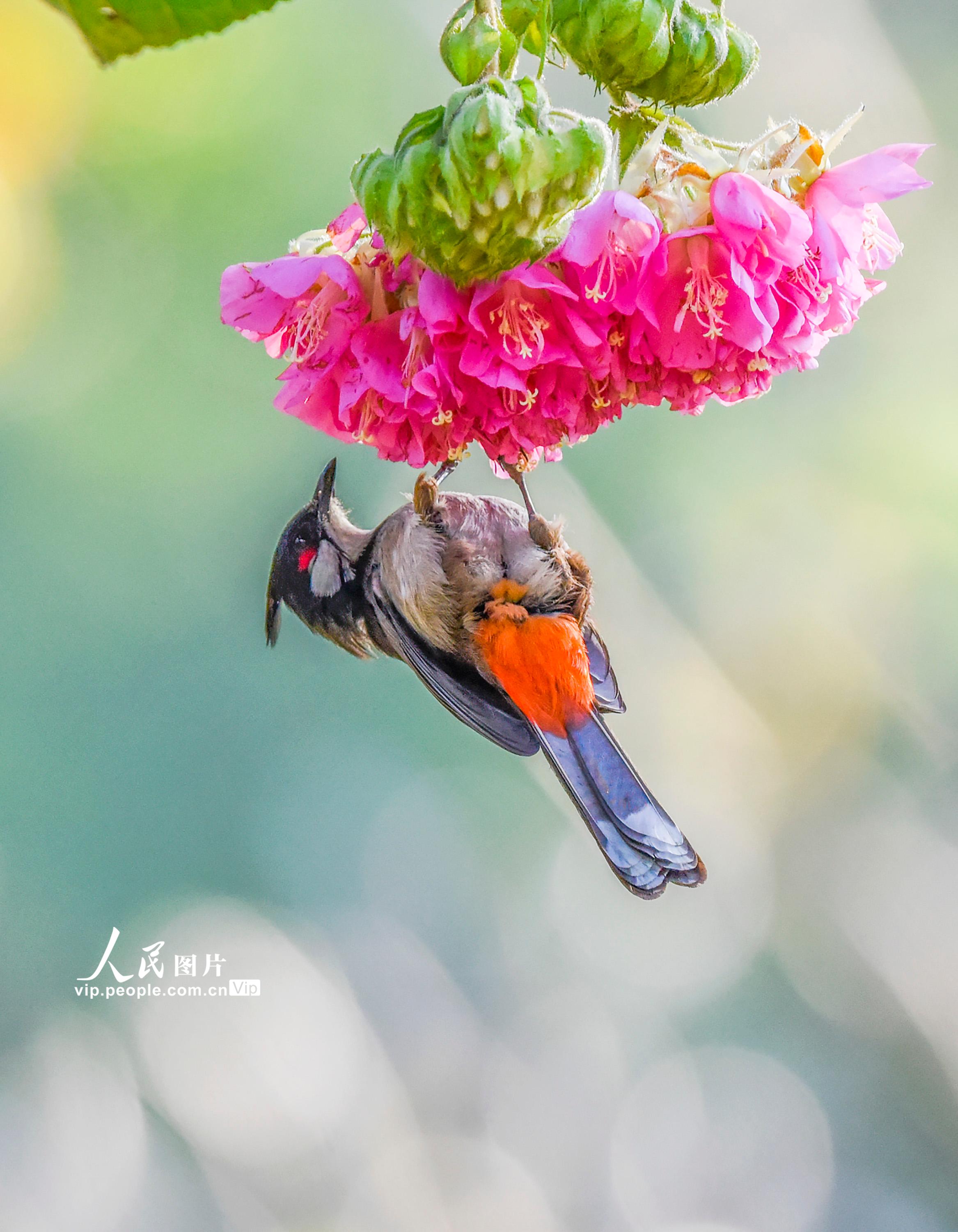 ���������Ϸܽ�ء�4��