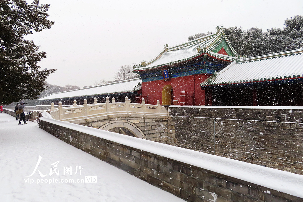 2月13日，游人在天壇公園景區欣賞雪景。賀路啟攝（人民圖片網）