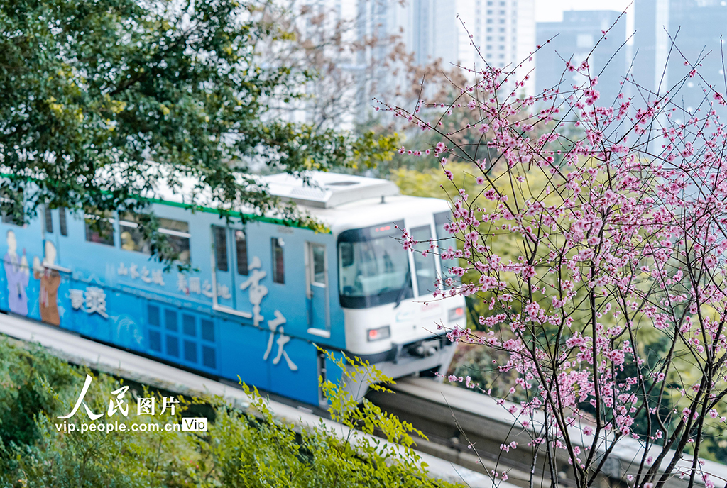 重庆：开往春天的列车