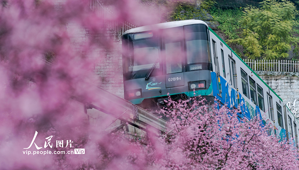 重慶：開往春天的列車【5】