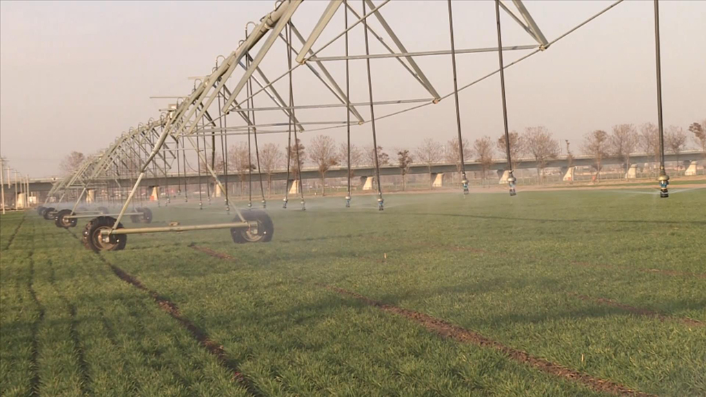 河南省安陽市滑縣，雙翼式平移自行噴灌機給小麥澆水。張森攝