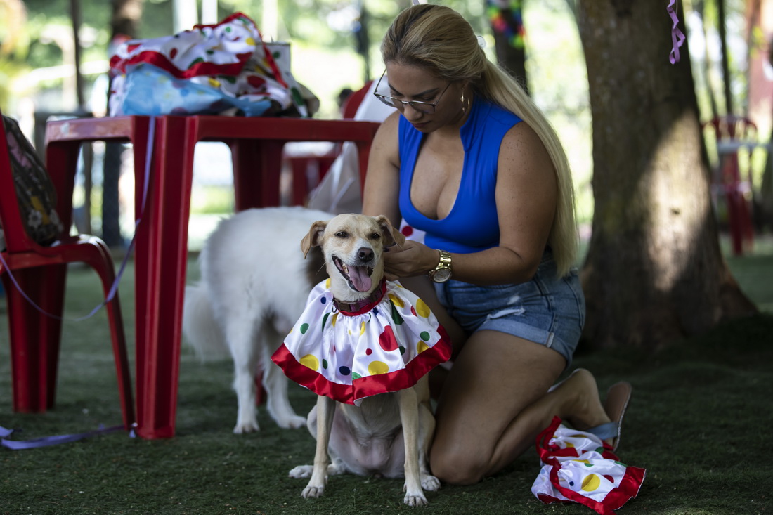 2月27日，一名女子帶著寵物犬在巴西裡約熱內盧參加“狗狗狂歡節”活動。