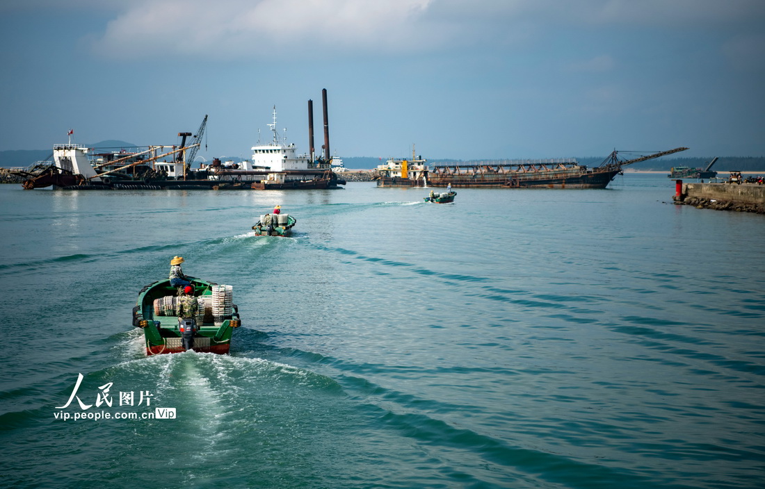 2022年3月3日，海南省万宁市乌场港，接驳小船穿梭往来运送鱼获。