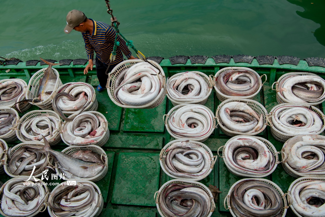 2022年3月3日，海南省万宁市乌场港的渔民在码头装卸海鱼。
