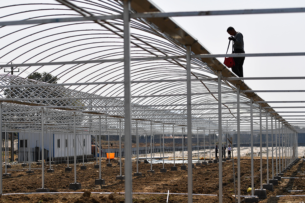 3月11日，在湖南省汨羅市羅江鎮，農民搭建育秧大棚。新華社記者 陳振海 攝