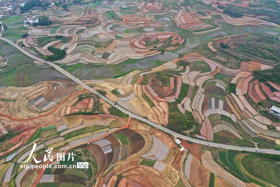 2022��3��12�գ��ڹ��������������������������������ɫ�ʰ�쵵���԰������