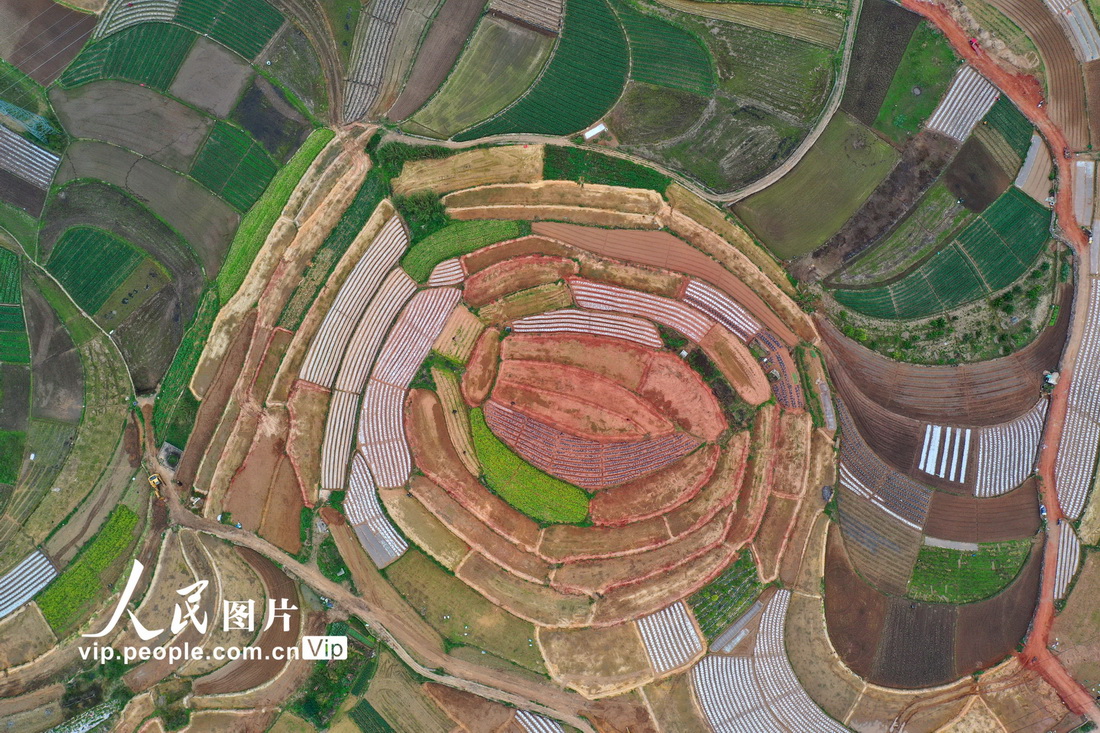 2022��3��12�գ��ڹ��������������������������������ɫ�ʰ�쵵���԰������