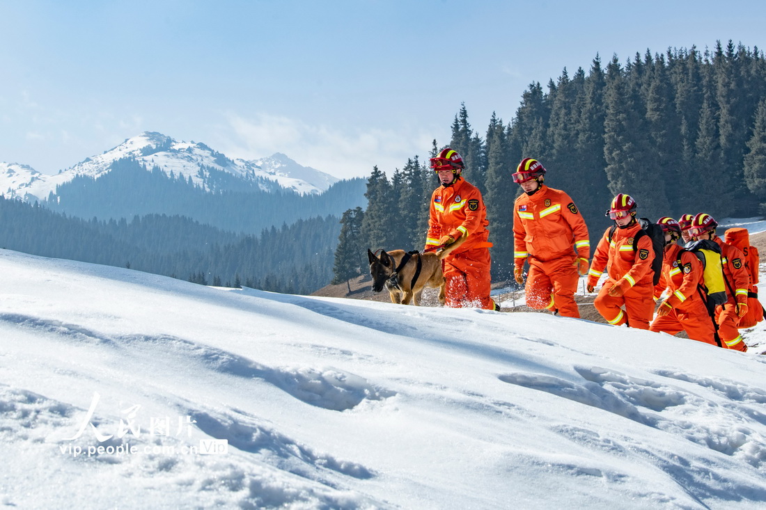 3月12日，消防救援人員在雪地中搜索“被困人員”。