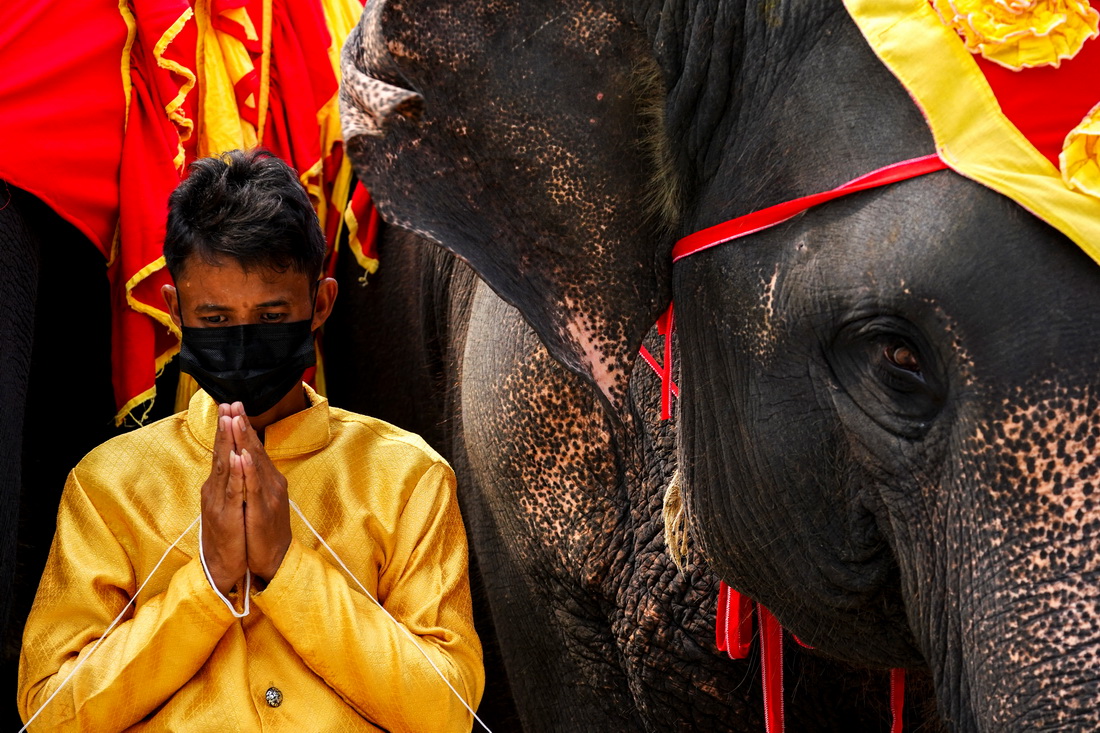 3月13日，在泰國芭堤雅，看象人和大象參加大象日慶祝活動。