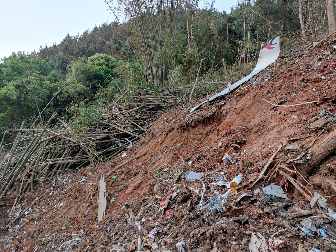 這是3月21日搜救人員在廣西藤縣墜機現場發現的飛機殘骸（手機照片）。新華社發（武警廣西總隊供圖）