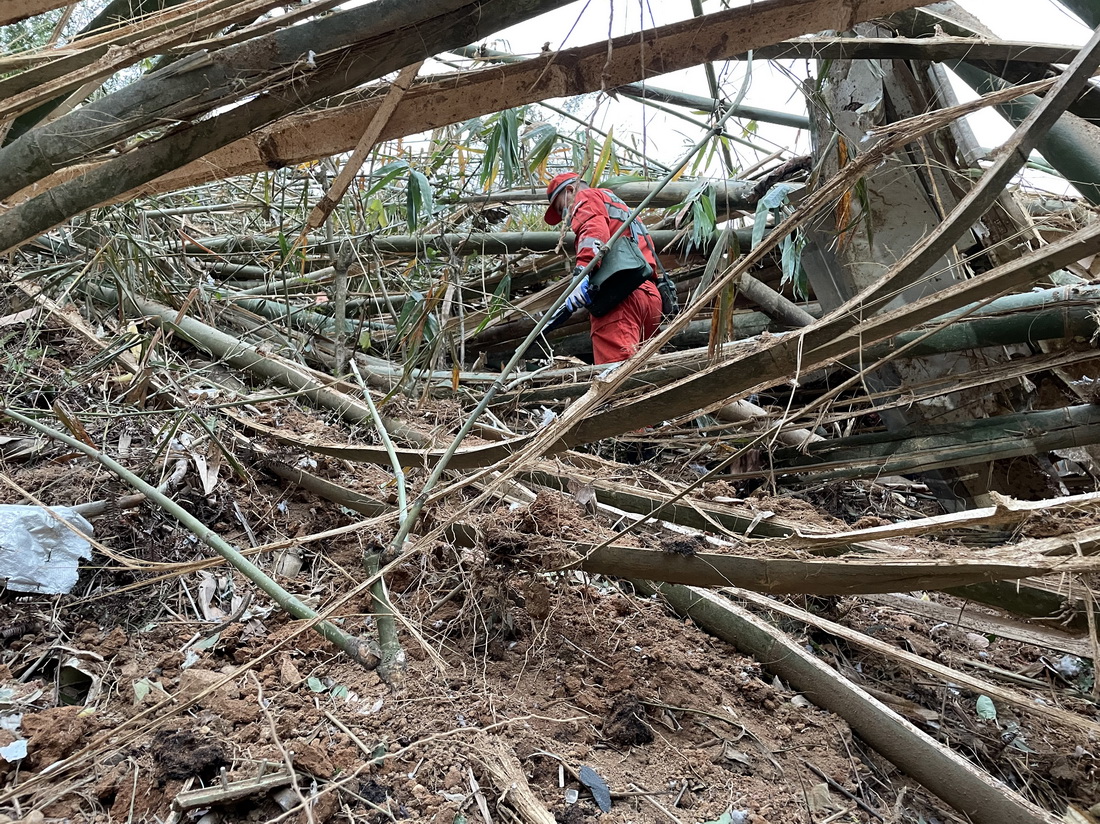 3��22�գ�������Ա��׹���¹��ֳ�������ϻ�ӣ��ֻ���Ƭ����