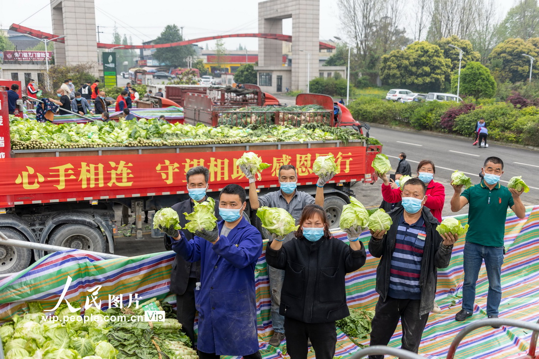 四川都江堰：120余吨蔬菜连夜运往上海