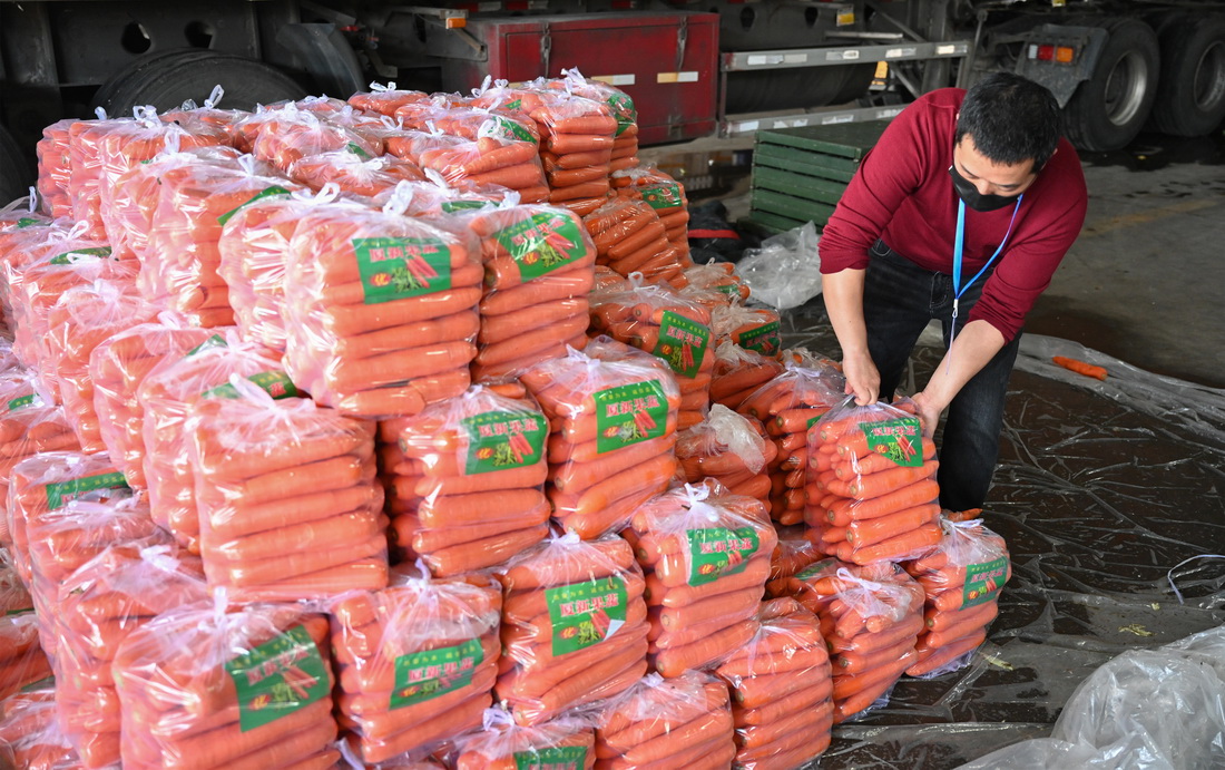 3月30日，在福建省晉江市禾恆蔬菜批發市場，批發商清點蔬菜。