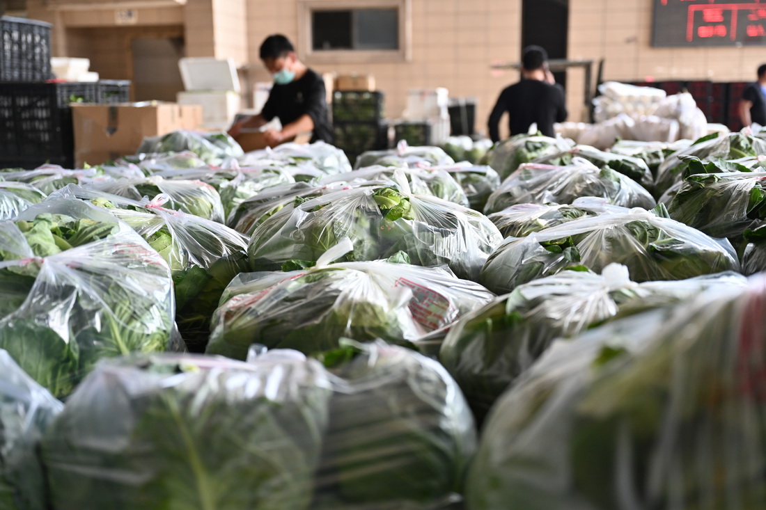 3月30日，商贩在福建省晋江市禾恒蔬菜批发市场忙碌。